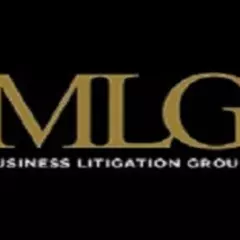 MLG Business  Litigation Group