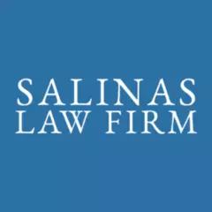 Salinas Law Firm  - Immigration Lawyer in Houston