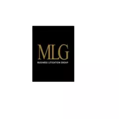 MLG Business  Litigation Group