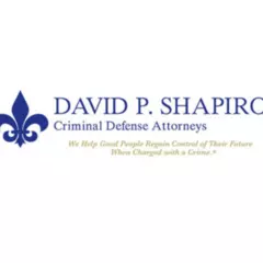 David P.  Shapiro